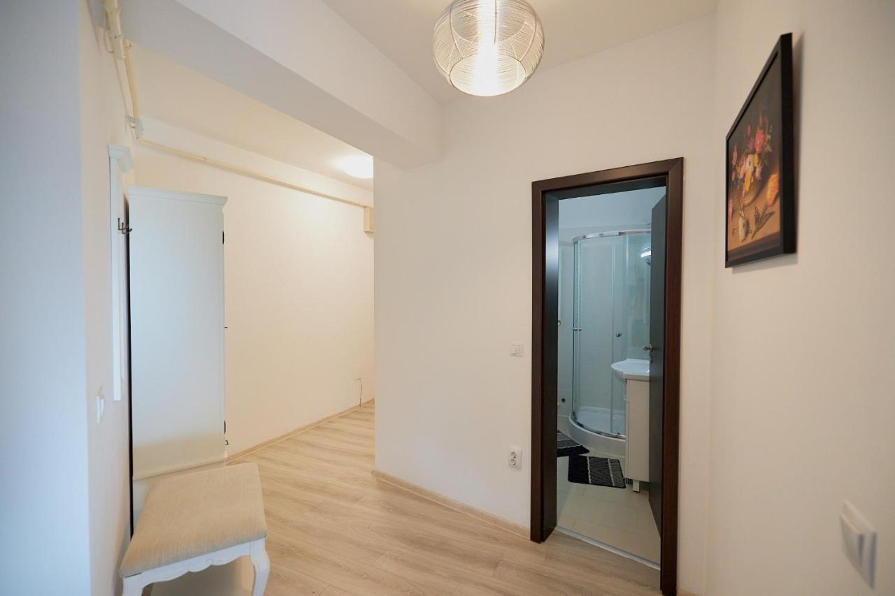 Alessandro Home 2 Luxury Centru Palas Mall Iasi Moldovei 30 Exteriér fotografie